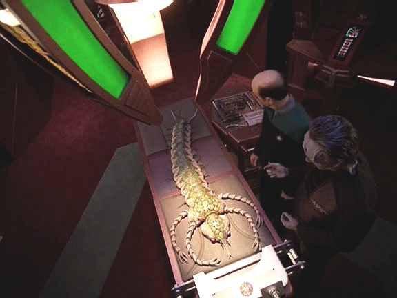 V simulátoru vytvoří Mosetovu laboratoř a začínají zkoumat hologram napodobující stvoření ohrožující B'Elannu.