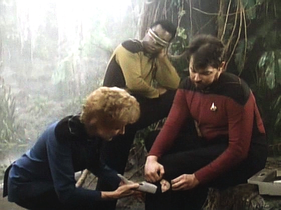 Na výsadku komandéra Rikera cosi škráblo do nohy. Transportér v jeho těle našel neidentifikovaný organismus, a tak se doktorka pro jistotu transportuje na povrch.