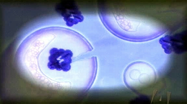 V jejich tkáni objeví pod mikroskopem nanity opravující jejich buňky.