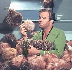 Kapitán Kirk zasypaný stovkami tribblů