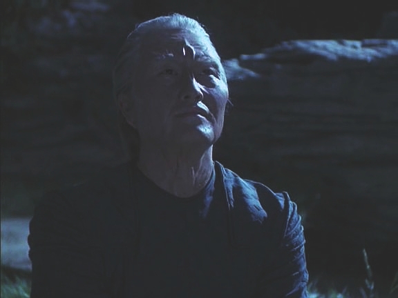 Když Voyager konečně warpem odlétá, sleduje jeho zmizení z noční oblohy jako starý muž.