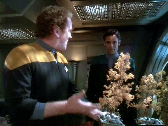 Keiko se vrací z pobytu na Bajoru a Miles má problém: za pět dní její nepřítomnosti se mu spolu s Julianem podařilo zahubit její bonsaie.