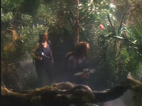 Worf a Jadzia úspěšně přistáli a prodírají se 20 kilomentrů soukarskou džunglí na místo setkání s Lasaranem. Mají na to dva dny.