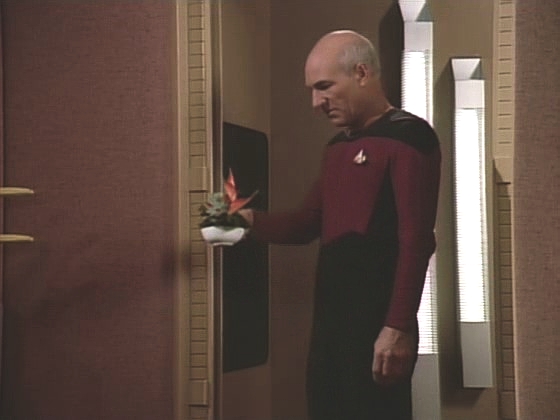 Na lodi se brzy začínají objevovat poruchy systémů. To, že kapitán dostal místo čaje květinovou dekoraci, je to nejmenší.