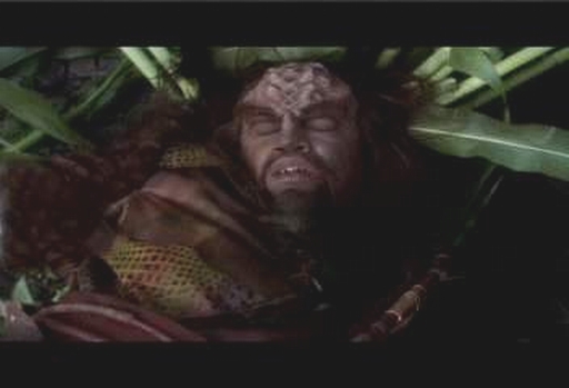 Klingon se jich dokázal zbavit, ale postřelil ho místní farmář.