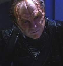 Doktor Phlox