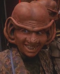 Grimp Grimp