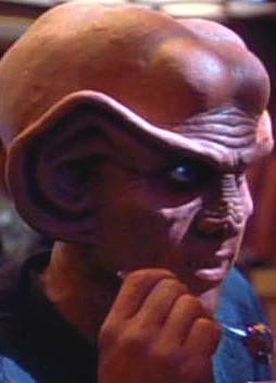 Quark (zrcadlový vesmír) Quark (zrcadlový vesmír)